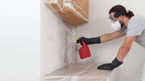 Professional Bathroom Mold Removal technician working in Worton, MD